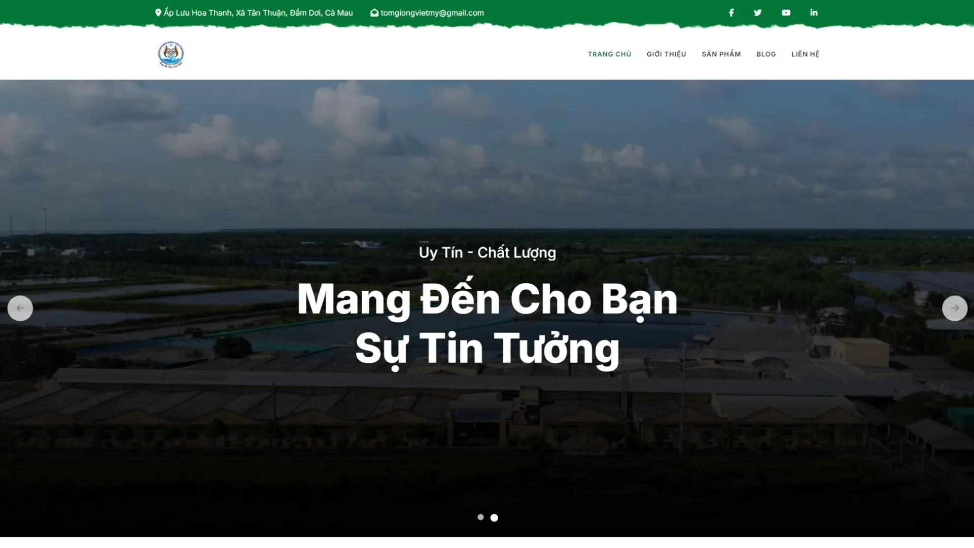 Dự án website Tôm Giống Việt Mỹ